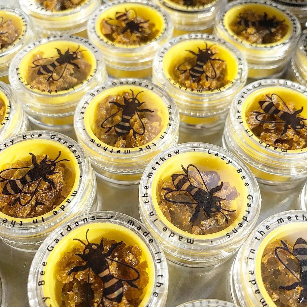 Miracle Alien Cookies